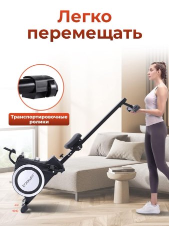 Гребной тренажер DFC ECHANFIT