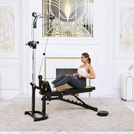 Скамья с вертикальной и горизонтальной тягой Powertec