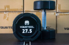 Гантели YOUSTEEL EVO  полиуретановая 27,5 кг