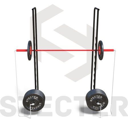 Комплект "Приседания с штангой WORKOUT-FIT"