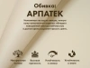 Мобильное массажное кресло FUJIMO CYBER LOUNGE F303 Бежевый