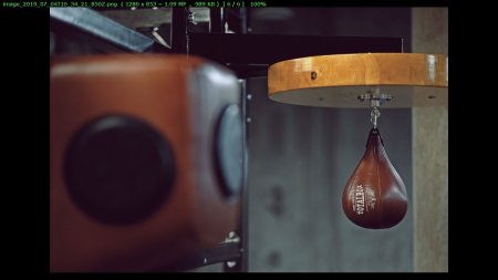 Груша пневматическая кожаная боксерская TOTALBOX (Коричневый)