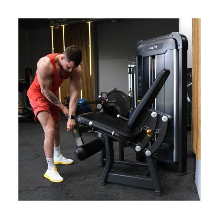 Разгибание ног AnyFit PE201-96