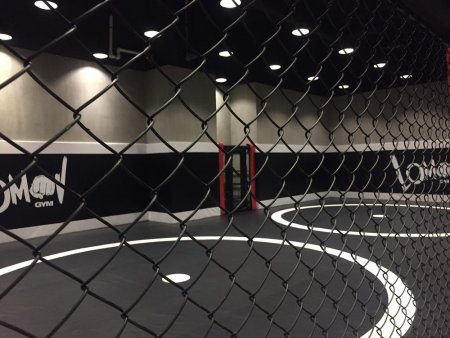 Борцовский ковер TARGEX