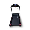 Электрическая беговая дорожка Everyfit 74500B