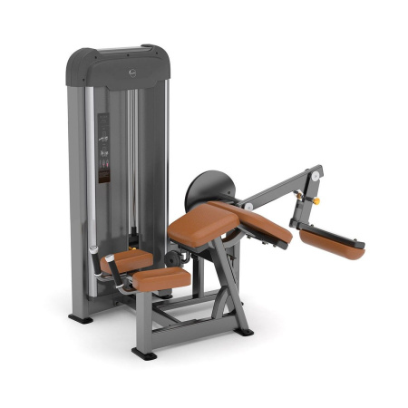 Сгибание ног AnyFit PE203-84