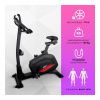 Велотренажер Everyfit BX7P, вертикальный