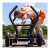 Тренажер для функционального тренинга TANK M4 Torque XTTM4-PH