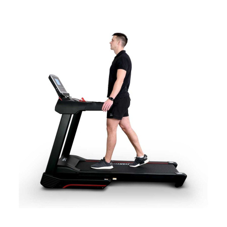 Электрическая беговая дорожка Everyfit 75005
