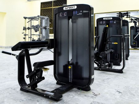 Бицепс машина в положении сидя SPIRIT SP-3506 со стеком 90 кг