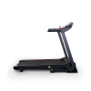 Электрическая беговая дорожка Everyfit 74305B