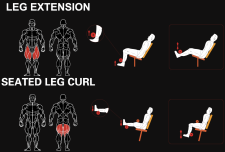 Сгибание и разгибание ног сидя YOUSTEEL BM8-1314 