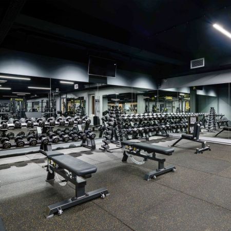 Скамья универсальная мобильная A-3039