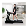 Электрическая беговая дорожка Everyfit 75005