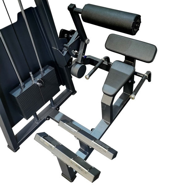 A2031 Разгибание спины. Стек 100 кг