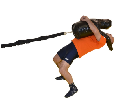 Манекен-Корпус «onePRO FILIPPOV» 17 кг