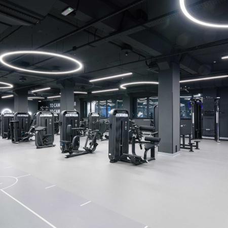 E7031 Разгибание спины. Стек 110 кг