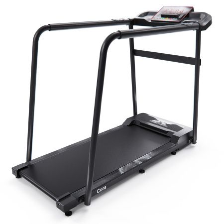 Беговая дорожка DFC Cora T165