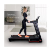 Электрическая беговая дорожка Everyfit 74610B