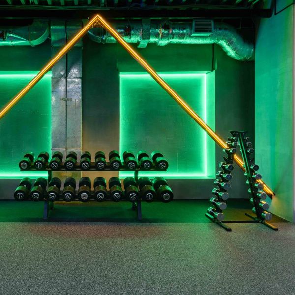 Гантельный ряд профессиональный (шаг 2,5 кг, 10 пар) PROFI-FIT 27,5-50 кг