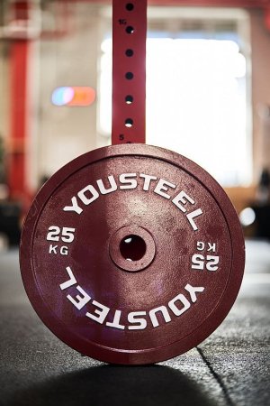 Стальной диск YOUSTEEL  25 кг.