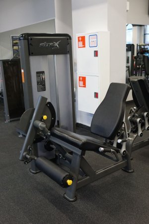 Разгибатель бедра FTX-61F24