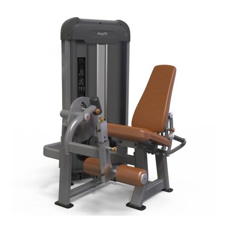 Разгибание ног AnyFit PE201-96