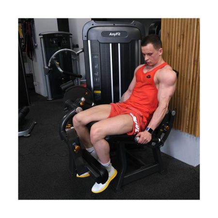 Разгибание ног AnyFit PE201-96