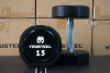 Гантели YOUSTEEL EVO  полиуретановая 15 кг.