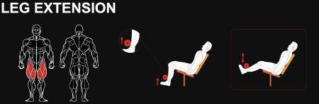 Разгибание ног сидя YOUSTEEL AM8-014