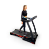 Электрическая беговая дорожка Everyfit 74500B