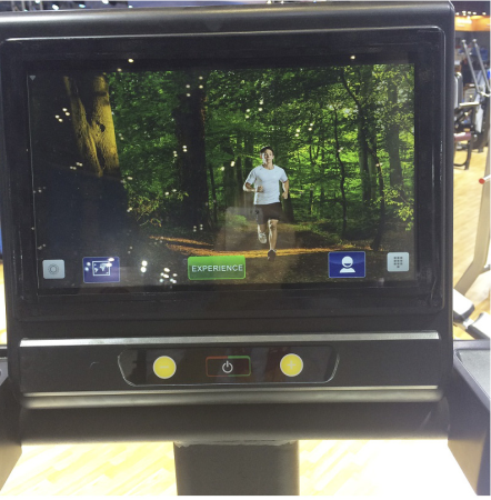 Лестница (Climber) Pangolin Fitness 2040LCD