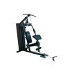 Многофункциональная силовая станция Protrain HG10250