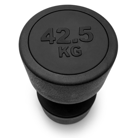 Гантель UNIX Fit PRO круглая обрезиненная 42,5 кг