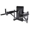 Брусья настенные DFC Homegym G294