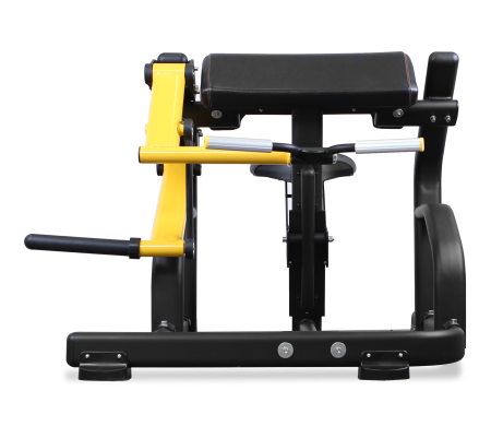 BRONZE GYM PL-1713 Бицепс