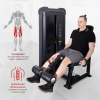 Разгибание ног Protrain CPB302-96