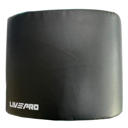 Опора для тренировки пресса AB Mat Livepro LP8345