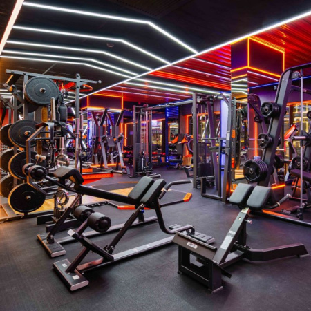 Гиперэкстензия DHZ (Back Extension)