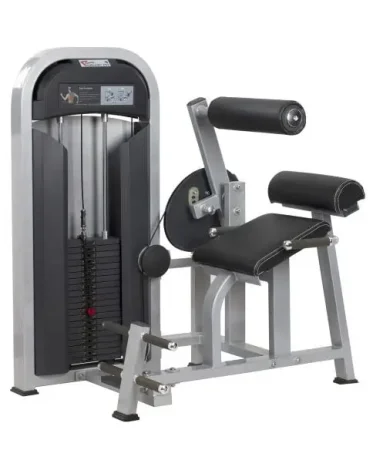 Разгибание спины Realleader M2-1016