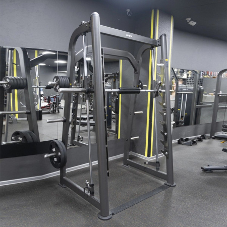 Машина Смита AnyFit PEB201
