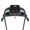Беговая дорожка Domsen Fitness DST20
