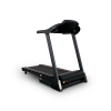 Электрическая беговая дорожка Everyfit 74305B