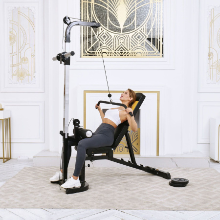 Скамья с вертикальной и горизонтальной тягой Powertec