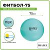 Мяч для фитнеса «ФИТБОЛ-75» с насосом, мятный