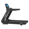 Беговая дорожка CardioPower PRO CT320 – V9T
