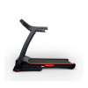 Электрическая беговая дорожка Everyfit 74500B