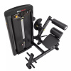Разгибание спины Protrain LFS118