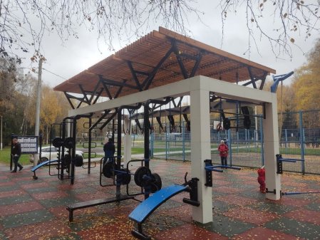 Уличный спортивный комплекс "Центр Силы"