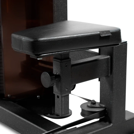 Бицепс машина профессиональный BRONZE GYM PARTNER ML-803